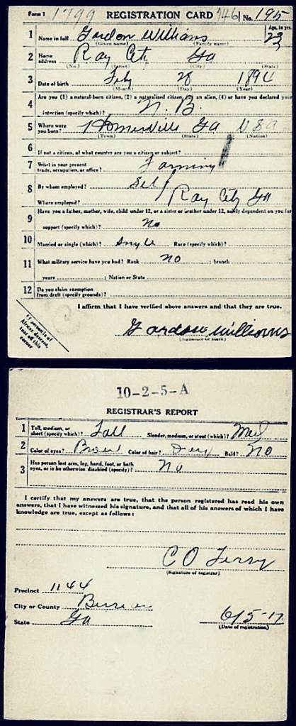 WWI Draft Registration of Gordon Williams, Ray City, GA