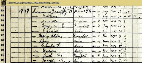 1900 census numeration of Jesse Sirmans, with his wife Malind King Sirmans, and children Henrietta, Maggie, Ezekiel, Mary Alice, Ben, Ruth, Charlie, Neddie, and Joseph. Image courtesy of Internet Archive:  https://archive.org/stream/12thcensusofpopu180unit#page/n82/mode/1up